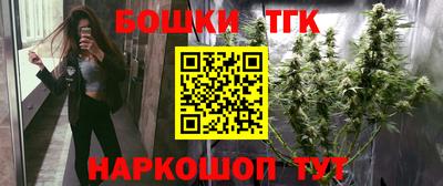 тгк Новодвинск