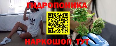 тгк Новодвинск