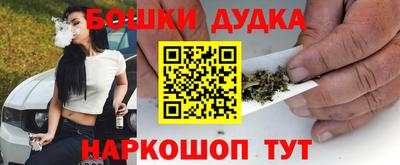тгк Новодвинск