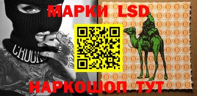 индика Новокубанск